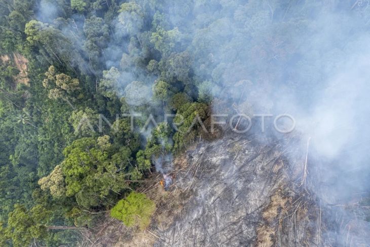 Karhutla di kawasan penyangga taman nasional Jambi