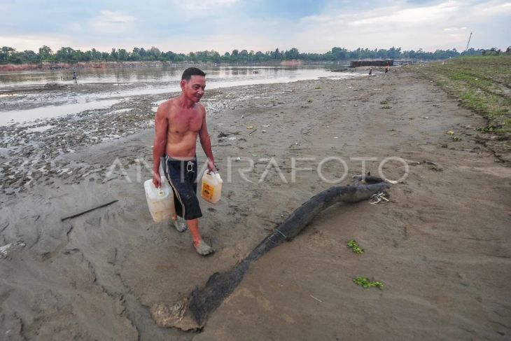 Dampak kemarau di Muaro Jambi