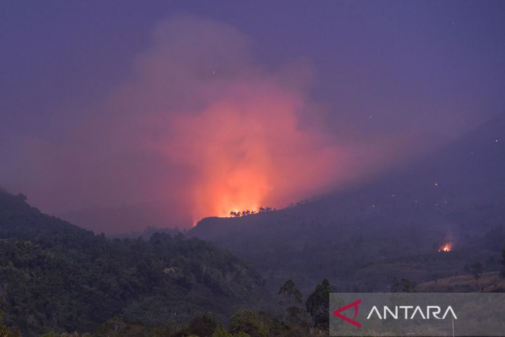 Kebakaran hutan di Gunung Guntur