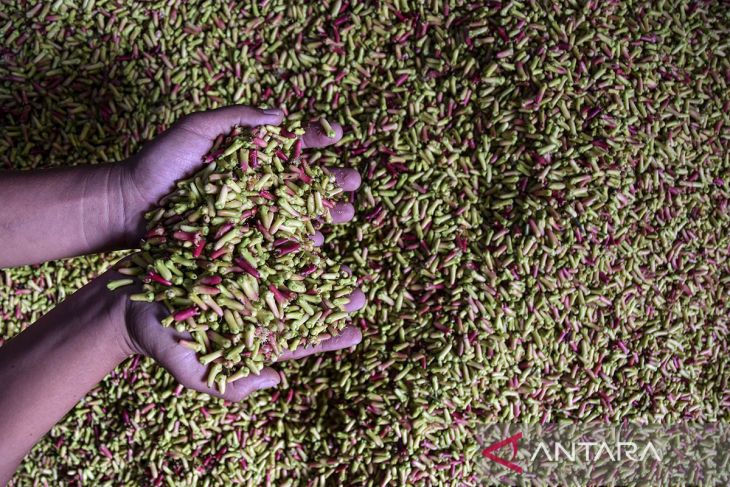 Omset petani cengkeh di Kabupaten Tasikmalaya