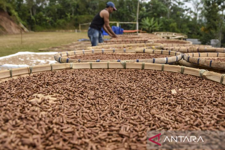 Omset petani cengkeh di Kabupaten Tasikmalaya