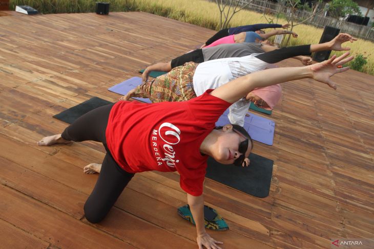 Pemanfaatan lahan sawah sebagai studio yoga