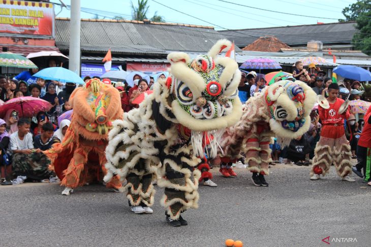 Semarak Karnaval HUT Ke-79 RI di Bangka Selatan