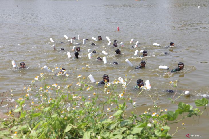 Lomba renang laut Korps Marinir