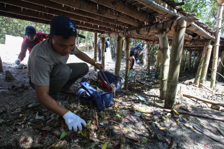 Aksi bersih sampah dan tanam mangrove di Hutan Mangrove Wonorejo