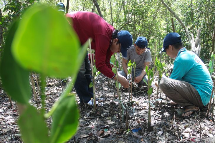 Aksi bersih sampah dan tanam mangrove di Hutan Mangrove Wonorejo