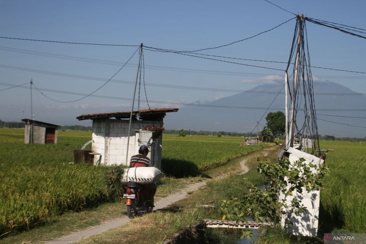 Listrik masuk sawah di Ngawi