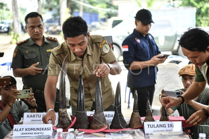 Rilis kasus penangkapan perdagangan ilegal Cula Badak