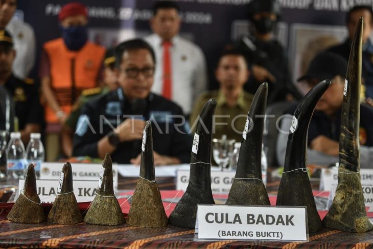 Rilis kasus penangkapan perdagangan ilegal Cula Badak