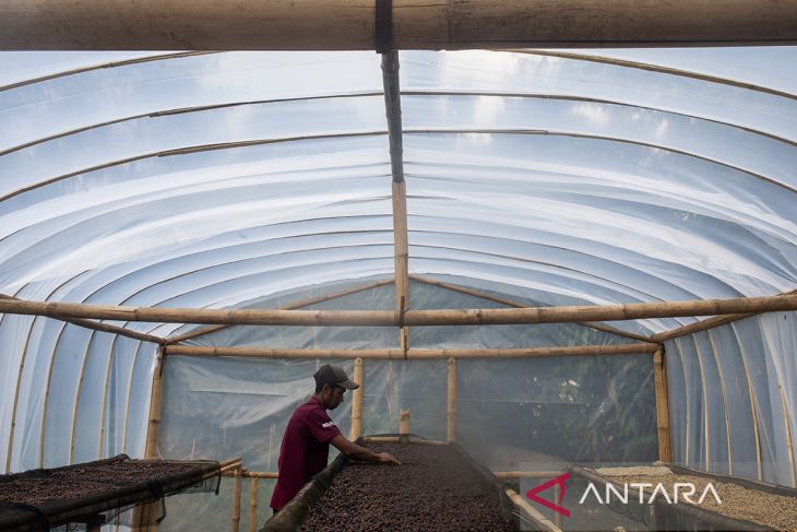 PHE dukung budi daya kopi Puntang Wangi