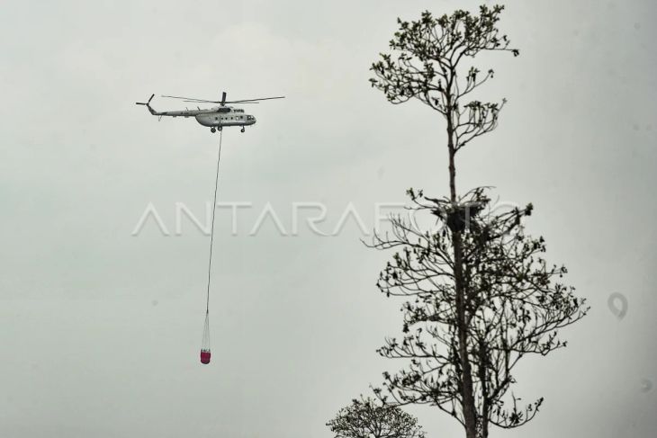 Upaya pemadaman karhutla di Muaro Jambi