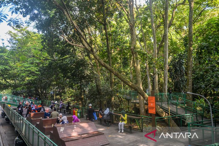 Hutan Kota Babakan Siliwangi Bandung