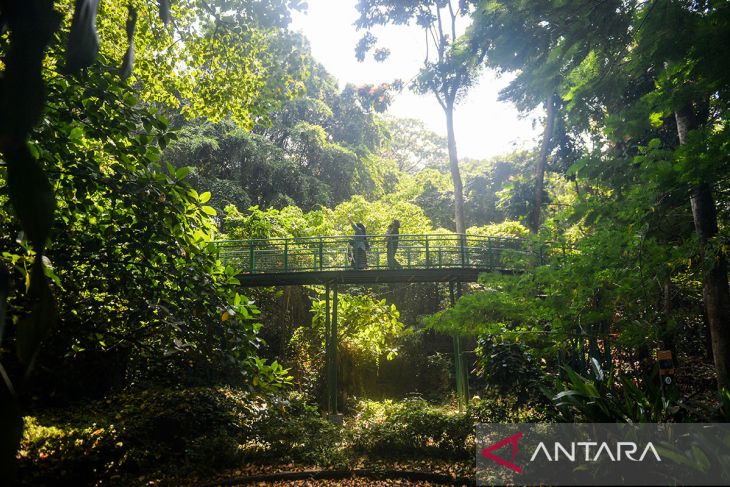 Hutan Kota Babakan Siliwangi Bandung