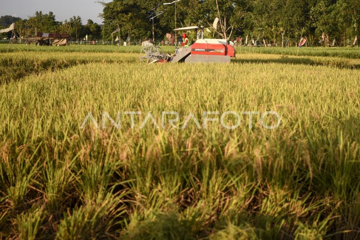 Kementan perluas lahan pertanian di Kalimantan Timur