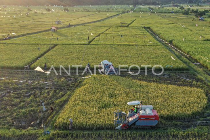 Kementan perluas lahan pertanian di Kalimantan Timur