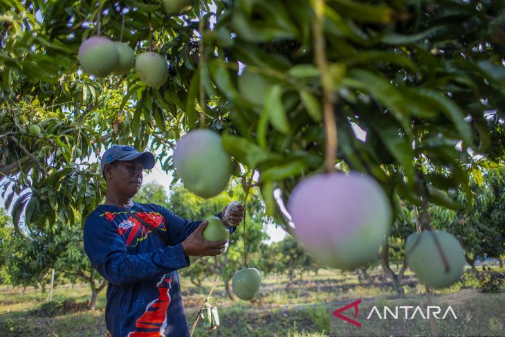 Pemberdayaan kelompok tani melalui Agrowisata