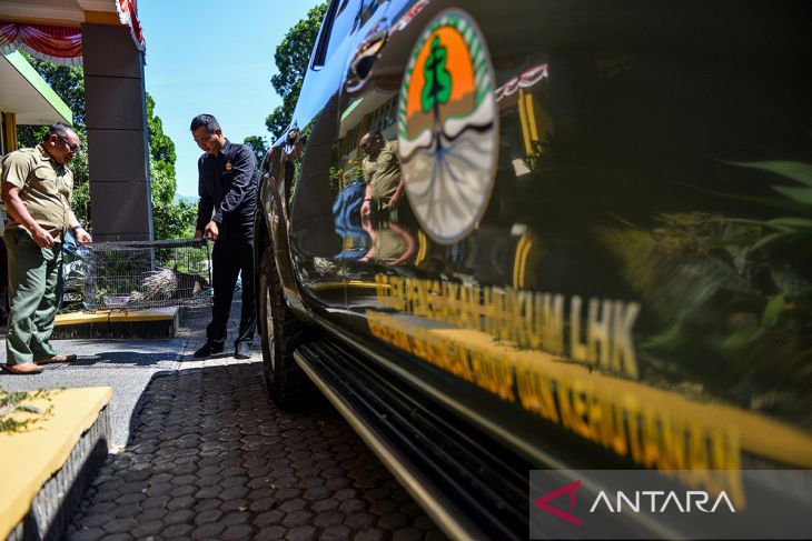 Pusat Studi Komunikasi Lingkungan Unpad serahkan landak jawa ke BKSDA