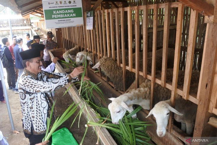 BAZNAS luncurkan Balai Ternak di Jember