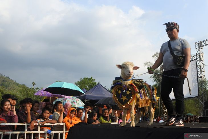 Domba Fashion Carnival di Jember