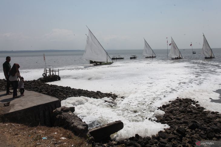 Busa putih di pantai dekat jembatan Suramadu