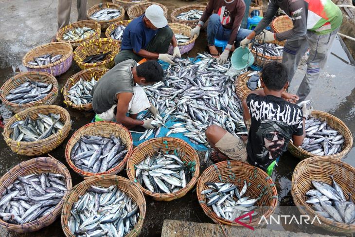 FOTO  Dampak cuaca buruk harga ikan naik