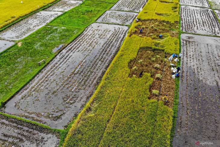 Program Kementerian Pertanian dalam kebutuhan pangan