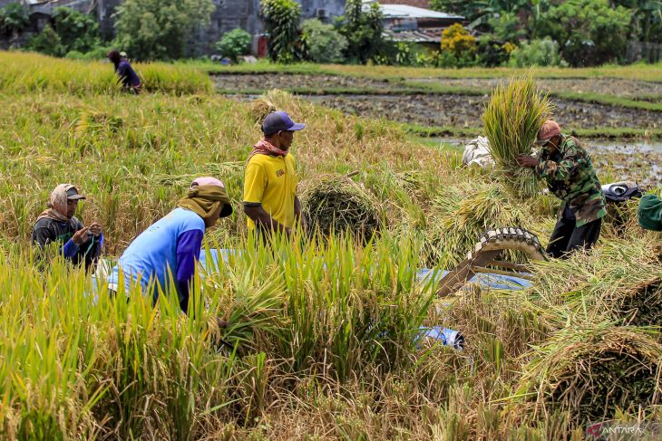 Program Kementerian Pertanian dalam kebutuhan pangan