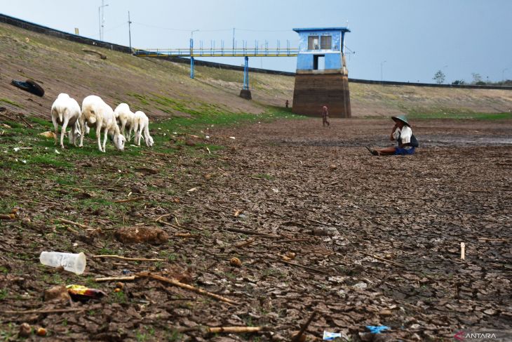 Waduk Dawuhan Madiun mengering