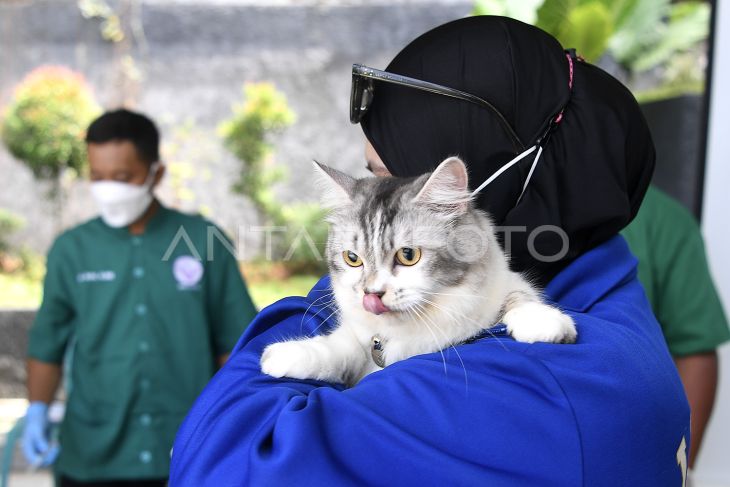 Peringatan Hari Rabies Sedunia di Samarinda