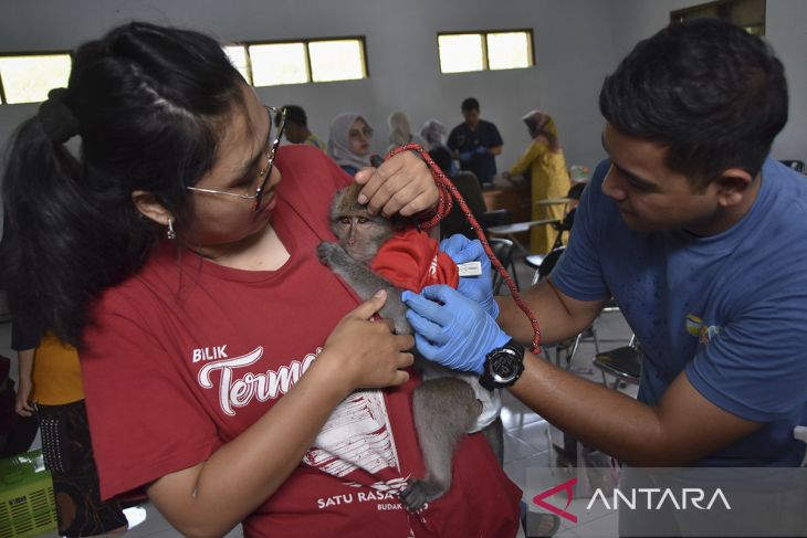 Vaksin rabies gratis untuk hewan peliharaan di Tasikmalaya