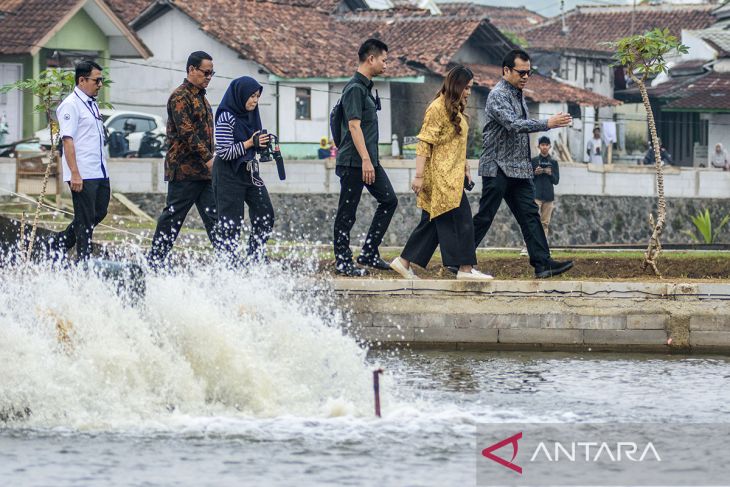 Wamen Kominfo tinjau pembudidaya ikan go digital