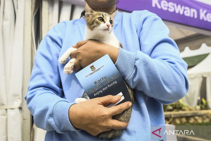 Vaksin rabies gratis di Tangerang