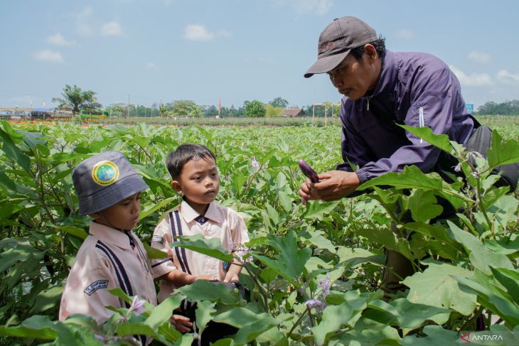 Edukasi pertanian organik sejak dini