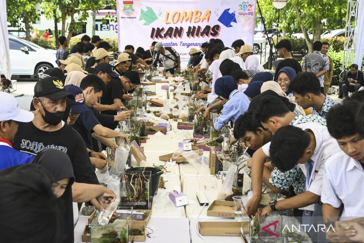 Lomba membuat Akuaskap di Tangerang