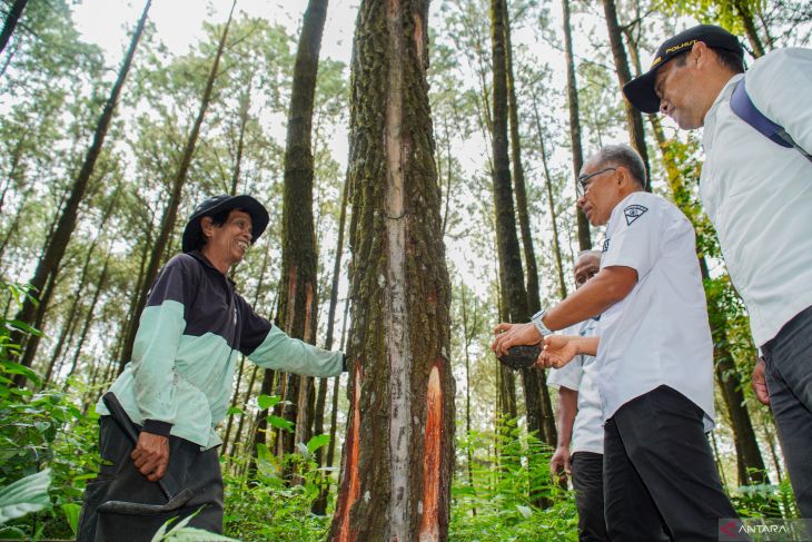 Upaya peningkatan produktivitas kawasan hutan untuk wana wisata