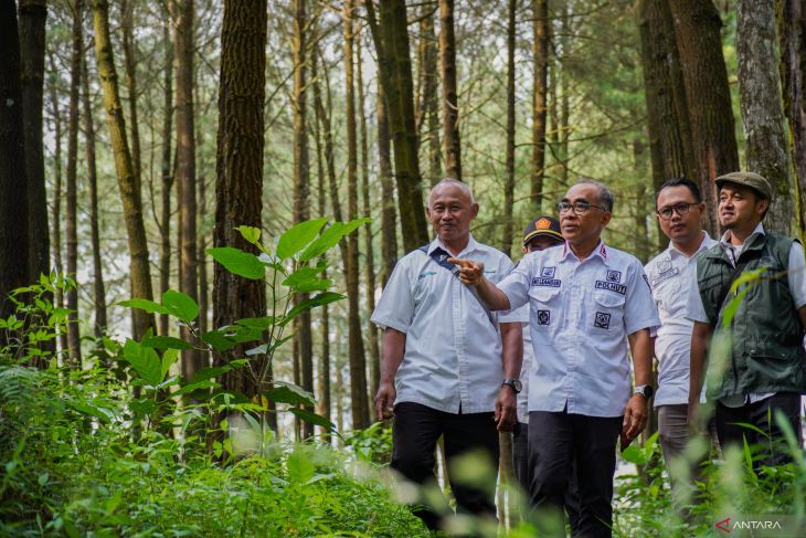 Upaya peningkatan produktivitas kawasan hutan untuk wana wisata