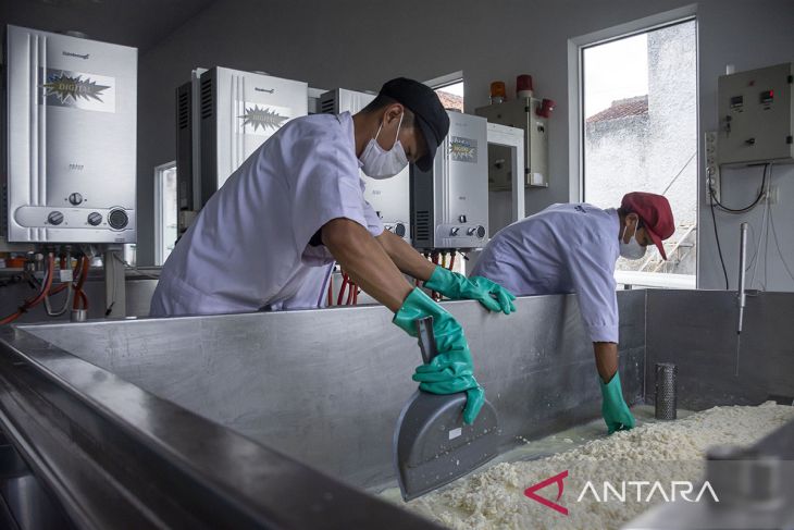Produksi keju mozarella artisan di Lembang