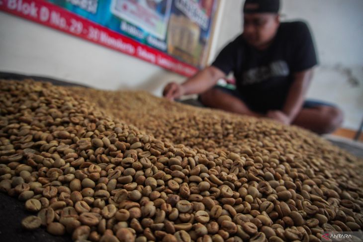 Kopi luwak liar lereng Gunung Semeru