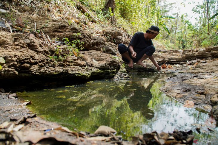 Luasan terdampak kekeringan di Lumajang