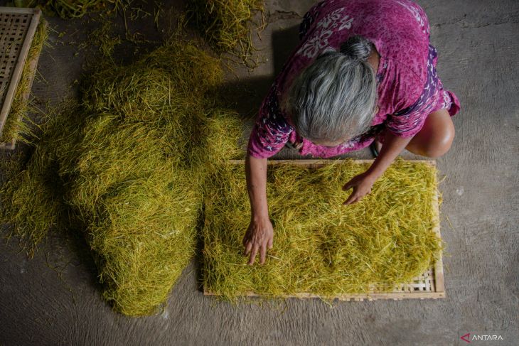 Tembakau herbal dari daun talas