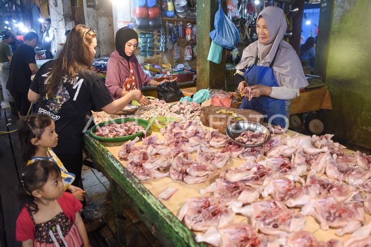 Harga ayam di Kaltim alami penurunan