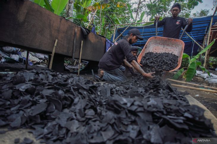 Limbah batok kelapa untuk produksi arang briket