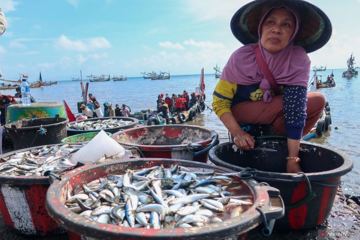 Tangkapan ikan lemuru meningkat