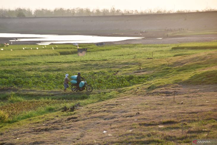 Pemanfaatan areal waduk untuk lahan pertanian di Madiun