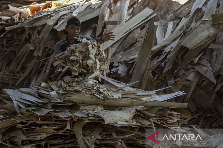 Produksi bahan bakar biomassa dari limbah kayu