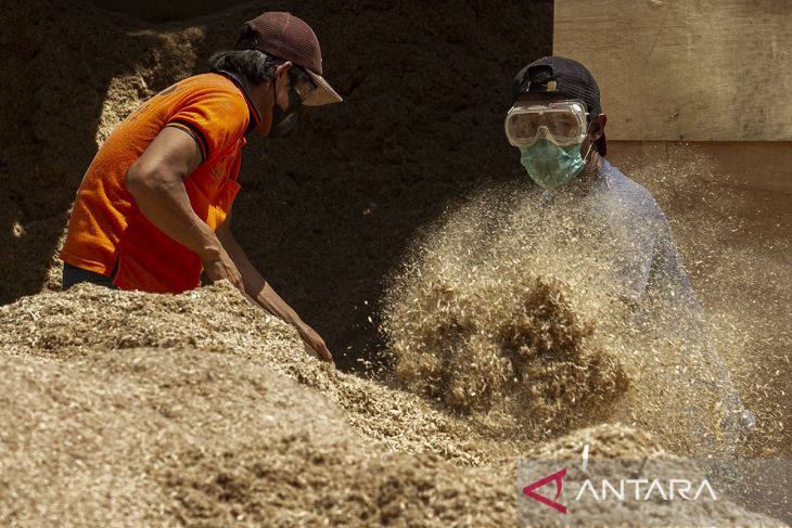 Produksi bahan bakar biomassa dari limbah kayu