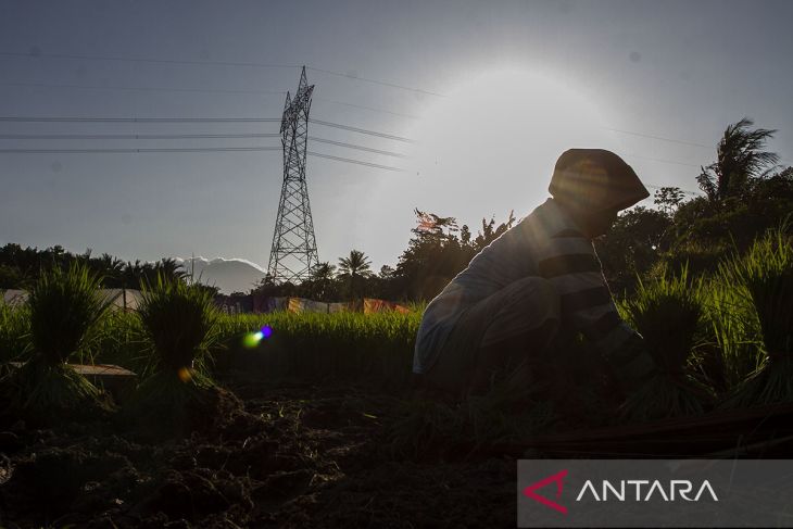 Target angka tanam Provinsi Banten