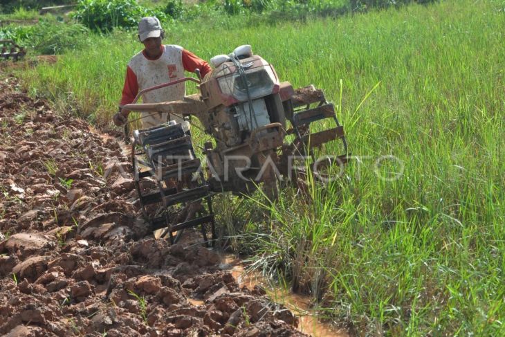 Pemerintah berencana hapus utang petani