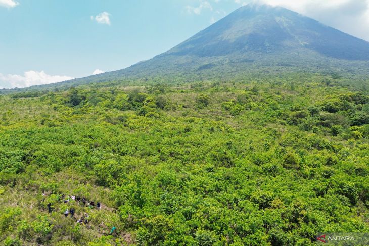 Penanaman bibit pohon di lereng Gunung Lemongan