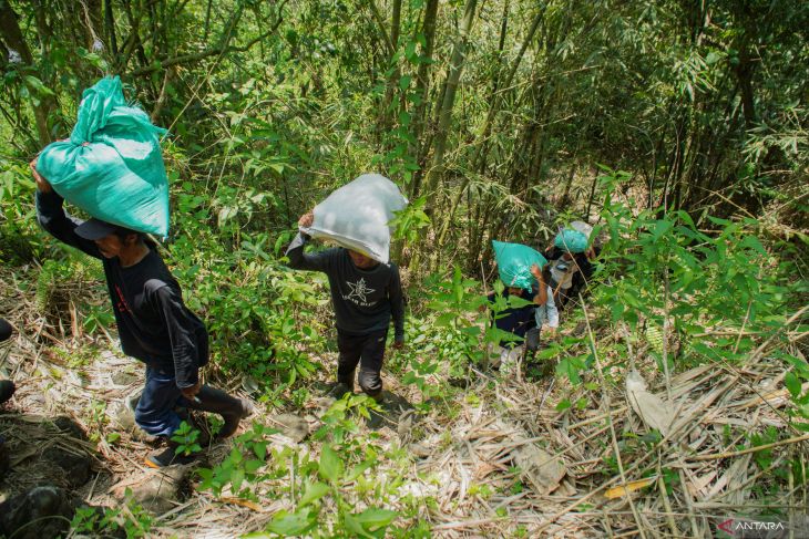 Penanaman bibit pohon di lereng Gunung Lemongan